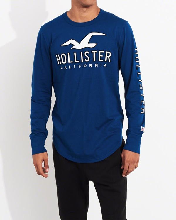 Magliette Hollister Uomo Logo Blu Italia (316SRWJK)